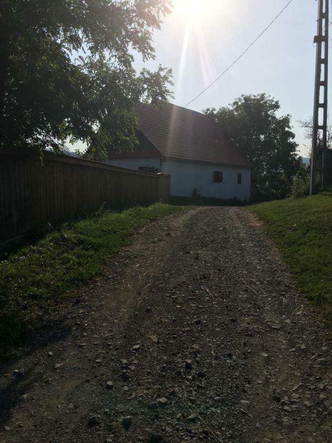 Miklos Lak Ocna de Sus エクステリア 写真